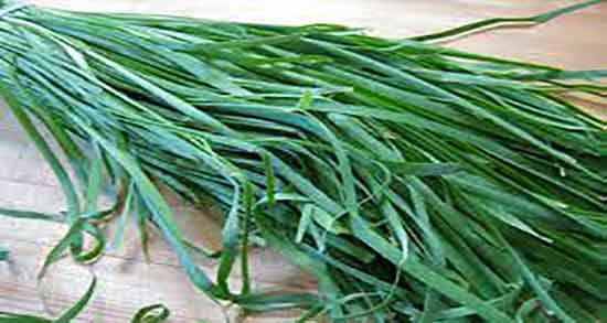 طبع تره ؛ طبیعت مصرف تره برای بدن انسان گرم است یا سرد طبع تره ؛ طبیعت مصرف تره برای بدن انسان گرم است یا سرد