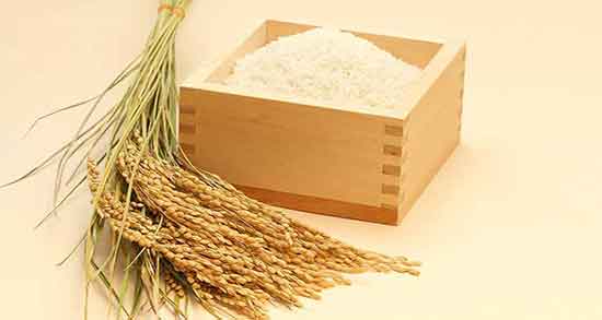 طبع روغن برنج ؛ طبیعت مصرف روغن برنج برای بدن گرم است یا سرد طبع روغن برنج ؛ طبیعت مصرف روغن برنج برای بدن گرم است یا سرد