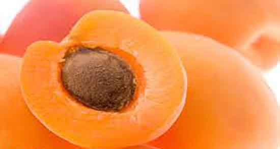 طبع زردآلو ؛ طبیعت مصرف زردآلو از نظر طب سنتی گرم است یا سرد