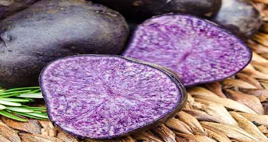 طبع سیب زمینی بنفش ؛ آشنایی با خواص درمانی و طبع سیب زمینی بنفش