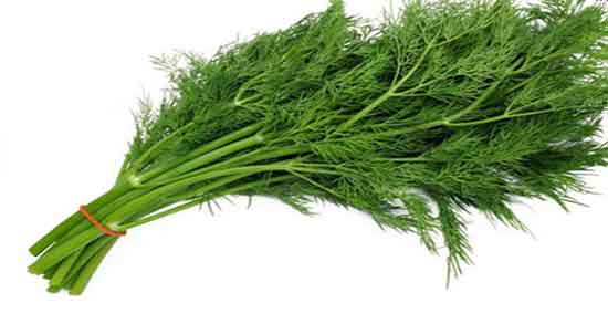 طبع شوید ؛ طبیعت شوید برای بدن انسان گرم است یا سرد طبع شوید ؛ طبیعت شوید برای بدن انسان گرم است یا سرد