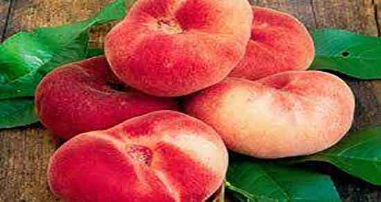 طبع هلو انجیری چیست ؛ طبیعت هلو انجیری برای بدن سرد است یا گرم طبع هلو انجیری چیست ؛ طبیعت هلو انجیری برای بدن سرد است یا گرم