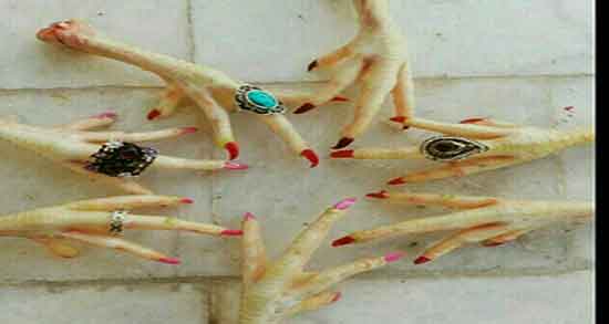 طبع پای مرغ ؛ طبیعت مصرف پای مرغ برای بدن گرم است یا سرد طبع پای مرغ ؛ طبیعت مصرف پای مرغ برای بدن گرم است یا سرد