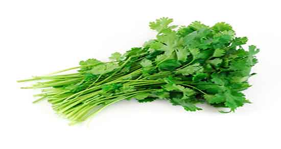 طبع گشنیز ؛ طبیعت مصرف گشنیز تازه برای زنان باردار چیست طبع گشنیز ؛ طبیعت مصرف گشنیز تازه برای زنان باردار چیست