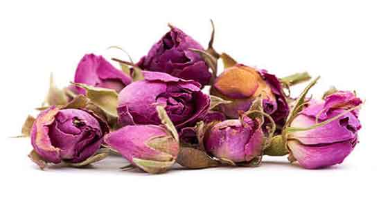 طبع گل محمدی ؛ آشنایی با خواص درمانی و طبع گل محمدی