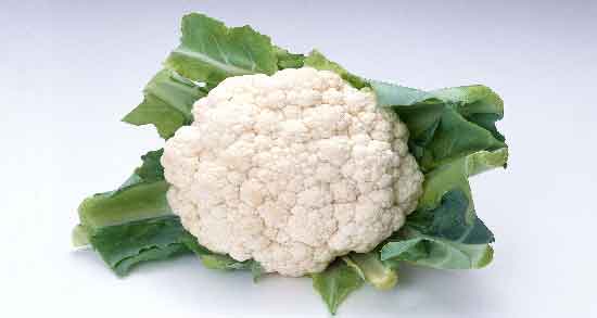 طبع گل کلم ؛ آشنایی با خواص درمانی و طبع گل کلم