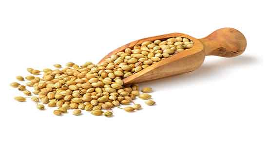 طبیعت گشنیز ؛ طبع مصرف گشنیز برای بدن انسان سرد است یا گرم طبیعت گشنیز ؛ طبع مصرف گشنیز برای بدن انسان سرد است یا گرم