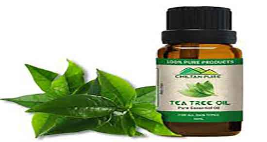 طرز استفاده از روغن درخت چای برای شپش ؛ روغن درخت چای برای شپش