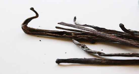 طرز استفاده از پودر وانیل ؛ دستور استفاده از پودر وانیل در کیک چگونه است