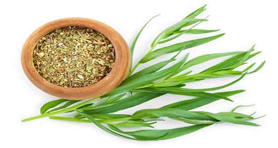 طرز تهیه دمنوش ترخون ؛ دستور تهیه دمنوش ترخون خشک چیست طرز تهیه دمنوش ترخون ؛ دستور تهیه دمنوش ترخون خشک چیست