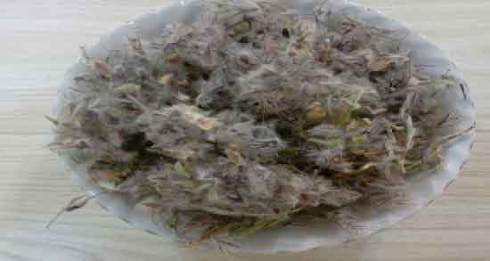 طرز تهیه دمنوش چای کوهی ؛ آموزش درست کردن دمنوش چای کوهی در منزل