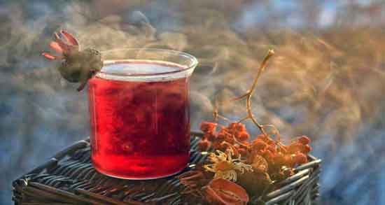 طرز تهیه دمنوش گل انار ؛ ساده ترین روش برای درست کردن دمنوش گل انار طرز تهیه دمنوش گل انار ؛ ساده ترین روش برای درست کردن دمنوش گل انار