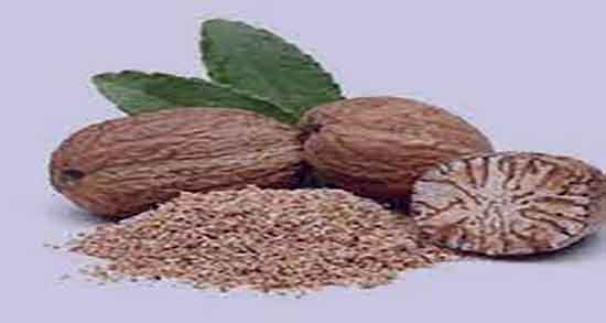 طرز تهیه روغن جوز هندی در منزل ؛ دستور تهیه روغن جوز هندی خانگی طرز تهیه روغن جوز هندی در منزل ؛ دستور تهیه روغن جوز هندی خانگی