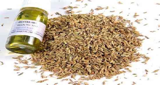 طرز تهیه روغن رازیانه در خانه ؛ چگونه می توانید در منزل روغن رازیانه تهیه کنیم؟