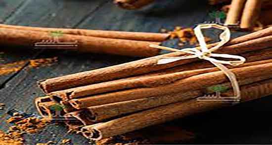 طرز تهیه شیر و دارچین برای لاغری و دستور تهیه شیر دارچین برای لاغری طرز تهیه شیر و دارچین برای لاغری ؛ دستور تهیه شیر دارچین برای لاغری