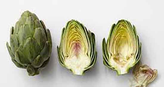 طریقه مصرف آرتیشو ؛ نحوه مصرف ارتیشو برای درمان زخم معده طریقه مصرف آرتیشو ؛ نحوه مصرف ارتیشو برای درمان زخم معده