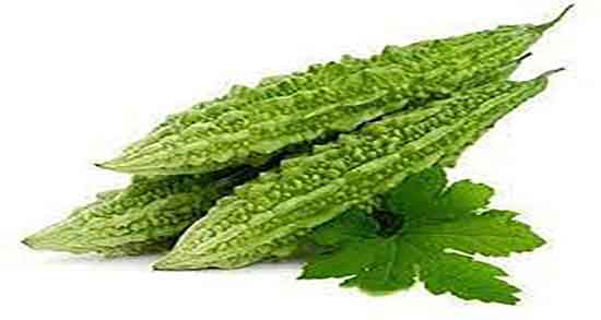 طریقه مصرف خربزه تلخ ؛ دستور مصرف خربزه تلخ برای زنان حامله طریقه مصرف خربزه تلخ ؛ دستور مصرف خربزه تلخ برای زنان حامله