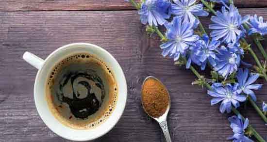 طریقه مصرف ریشه کاسنی ؛ دستور مصرف ریشه کاسنی برای پسردار شدن طریقه مصرف ریشه کاسنی ؛ دستور مصرف ریشه کاسنی برای پسردار شدن