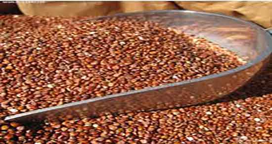 طریقه مصرف کینوا ؛ دستور مصرف کینوا برای لاغری و چربی سوزی طریقه مصرف کینوا ؛ دستور مصرف کینوا برای لاغری و چربی سوزی