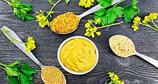 طعم خردل ؛ طعم سس خردل بهرام + سس خردل برای چی استفاده میشه