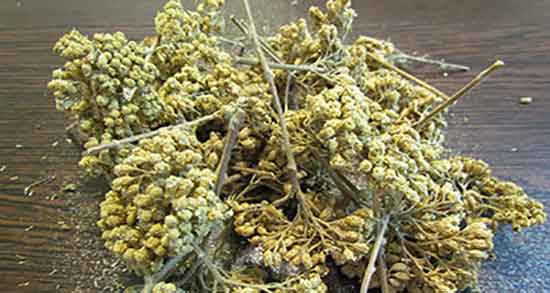 عرق بومادران و فشار خون ؛ درمان و کنترل فشار خون با عرق بومادران عرق بومادران و فشار خون ؛ درمان و کنترل فشار خون با عرق بومادران