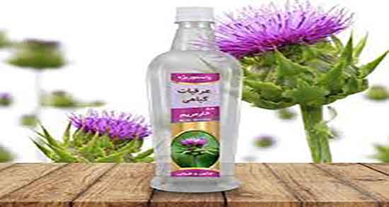 عرق خار مریم برای کیسه صفرا ؛ عرق خار مریم برای رفع سنگ کیسه صفرا عرق خار مریم برای کیسه صفرا ؛ عرق خار مریم برای رفع سنگ کیسه صفرا