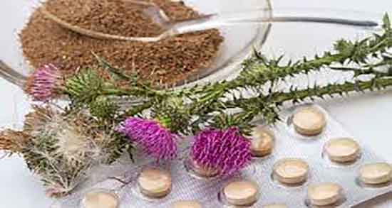 عرق خار مریم و کاسنی ؛ ترکیب عرق کاسنی و خار مریم برای صورت عرق خار مریم و کاسنی ؛ ترکیب عرق کاسنی و خار مریم برای صورت