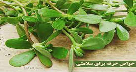 عرق خرفه برای کیست تخمدان و درمان کیست تخمدان زنان با عرق خرفه عرق خرفه برای کیست تخمدان ؛ درمان کیست تخمدان زنان با عرق خرفه