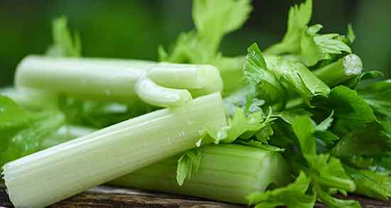 عرق کرفس برای فشار خون ؛ ایا عرق کرفس فشار خون را بالا میبرد عرق کرفس برای فشار خون ؛ ایا عرق کرفس فشار خون را بالا میبرد