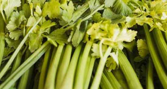 عرق کرفس و شوید ؛ میزان مصرف روزانه عرق شوید و کرفس برای بدن عرق کرفس و شوید ؛ میزان مصرف روزانه عرق شوید و کرفس برای بدن