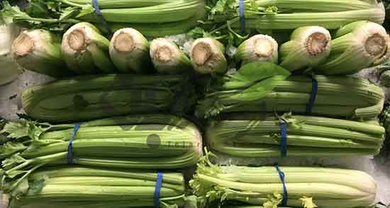 عرق کرفس و لاغری ؛ خواص عرق کرفس و زیره برای لاغری نی نی سایت عرق کرفس و لاغری ؛ خواص عرق کرفس و زیره برای لاغری نی نی سایت