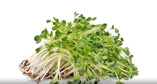 عرق یونجه برای کودکان ؛ مصرف عرق یونجه برای کودکان زیر دو سال عرق یونجه برای کودکان ؛ مصرف عرق یونجه برای کودکان زیر دو سال