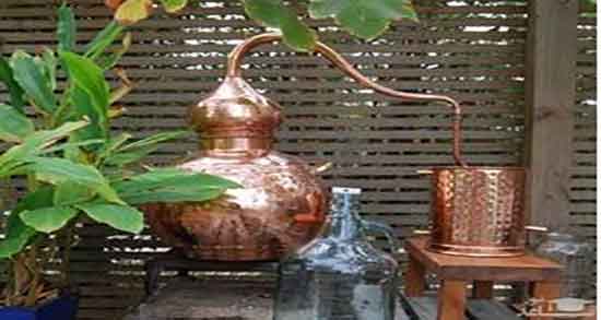 عرق یونجه در طب اسلامی و خواص مصرف عرق یونجه در طب اسلامی عرق یونجه در طب اسلامی ؛ خواص مصرف عرق یونجه در طب اسلامی