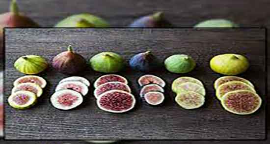 علت تلخی شیره انجیر چیست ؛ راهکاری که شیره انجیر تلخ نمیشود علت تلخی شیره انجیر چیست ؛ راهکاری که شیره انجیر تلخ نمیشود