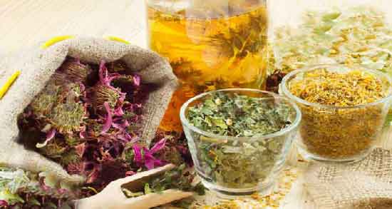 عوارض دمنوش چای کوهی و بررسی عوارض و مضرات خوردن دمنوش چای کوهی عوارض دمنوش چای کوهی ؛ بررسی عوارض و مضرات خوردن دمنوش چای کوهی