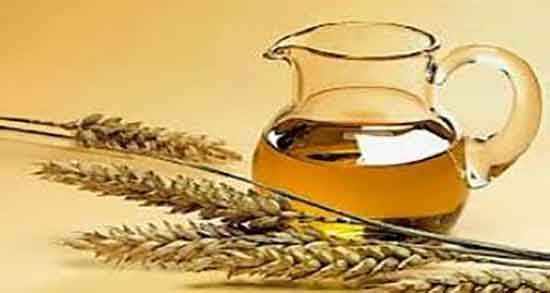 عوارض روغن جوانه گندم ؛ مضرات مصرف پودر جوانه گندم برای چاقی عوارض روغن جوانه گندم ؛ مضرات مصرف پودر جوانه گندم برای چاقی
