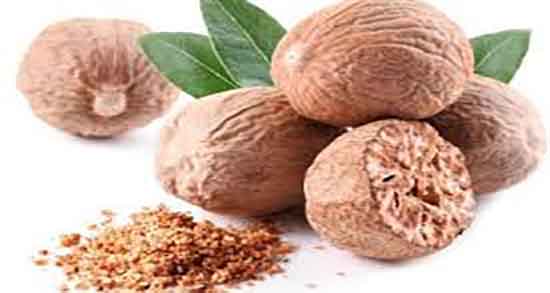 عوارض روغن جوز هندی ؛ مضرات روغن جوز هندی برای زنان باردار عوارض روغن جوز هندی ؛ مضرات روغن جوز هندی برای زنان باردار