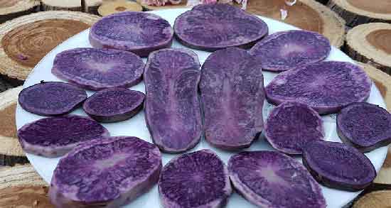 عوارض سیب زمینی بنفش و استفاده از سیب زمینی بنفش چه عوارضی برای سلامتی دارد عوارض سیب زمینی بنفش ؛ استفاده از سیب زمینی بنفش چه عوارضی برای سلامتی دارد