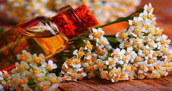 عوارض عرق بومادران در بارداری ؛ مضرات عرق بومادران برای زنان باردار عوارض عرق بومادران در بارداری ؛ مضرات عرق بومادران برای زنان باردار