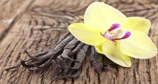 عوارض وانیل ؛ ایا وانیل تاریخ گذشته برای بدن سمی و مضر است