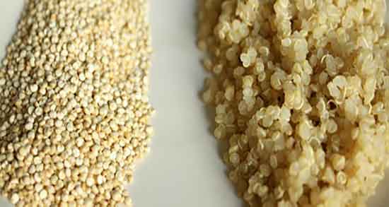 عوارض کینوا و مضرات مصرف کینوا برای جنین زنان باردار چیست عوارض کینوا ؛ مضرات مصرف کینوا برای جنین زنان باردار چیست