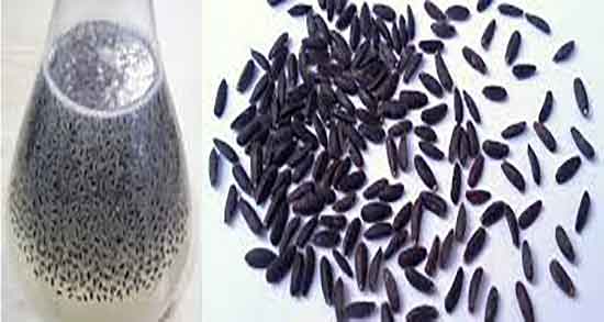 عکس بارهنگ ؛ تصاویر بارهنگ تازه و دانه شده در فروشگاهای اینترنتی عکس بارهنگ ؛ تصاویر بارهنگ تازه و دانه شده در فروشگاهای اینترنتی