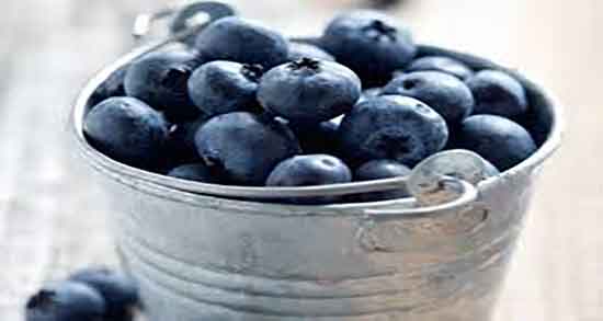 عکس بلوبری تازه ؛ تصویر بلوبری تازه در فروشگاهای اینترنتی عکس بلوبری تازه ؛ تصویر بلوبری تازه در فروشگاهای اینترنتی