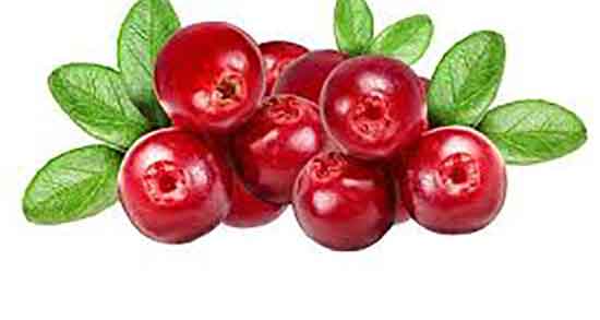 عکس بلوبری قرمز ؛ تصویر میوه بلوبری قرمز در فروشگاهای اینترنتی عکس بلوبری قرمز ؛ تصویر میوه بلوبری قرمز در فروشگاهای اینترنتی