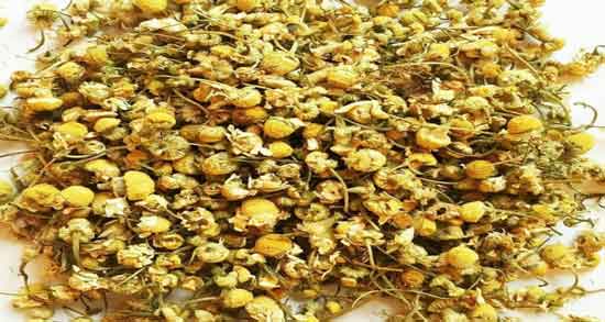 عکس گل ختمی خشک شده ؛ بررسی خواص و مشخصات ظاهری گل ختمی خشک شده عکس گل ختمی خشک شده ؛ بررسی خواص و مشخصات ظاهری گل ختمی خشک شده