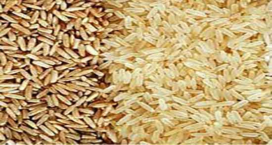 عکسهای برنج قهوه ای ؛ تصاویر برنج قهوه ای در زمین های کشاورزی عکسهای برنج قهوه ای ؛ تصاویر برنج قهوه ای در زمین های کشاورزی