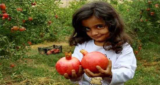 فواید آب انار برای کودکان ؛ پیشگیری از سرماخوردگی در کودکان با خوردن آب انار فواید آب انار برای کودکان ؛ پیشگیری از سرماخوردگی در کودکان با خوردن آب انار