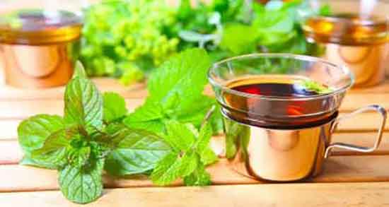 فواید بادرنجبویه ؛ خاصیت مصرف بادرنجبویه برای درمان زخم معده فواید بادرنجبویه ؛ خاصیت مصرف بادرنجبویه برای درمان زخم معده