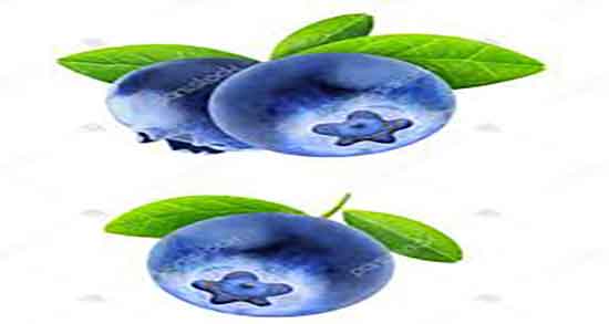 فواید بلوبری برای پوست ؛ خاصیت مصرف ماسک بلوبری برای پوست صورت فواید بلوبری برای پوست ؛ خاصیت مصرف ماسک بلوبری برای پوست صورت