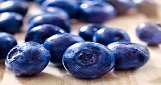 فواید بلوبری برای کودکان و خاصیت مصرف بلوبری برای کودکان و نوجوانان فواید بلوبری برای کودکان ؛ خاصیت مصرف بلوبری برای کودکان و نوجوانان